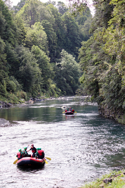 Tongariro River